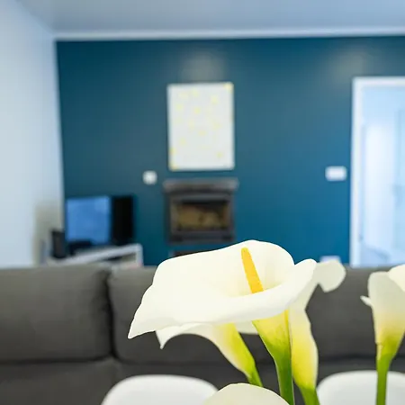 Casa Da Alexandrina *