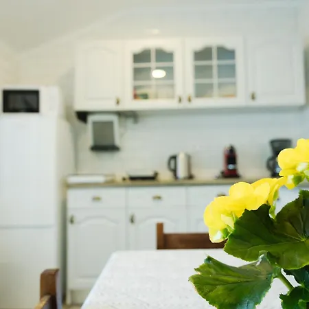 Casa Da Alexandrina Holiday home Algarvia