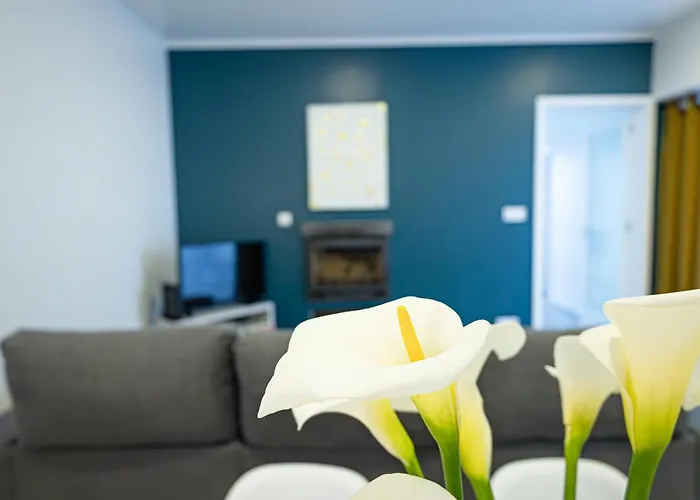 Casa Da Alexandrina *