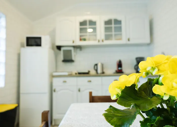 Casa Da Alexandrina 度假居 Algarvia